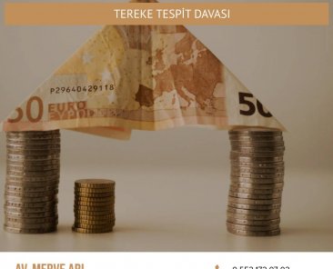 Tereke Tespit Davası