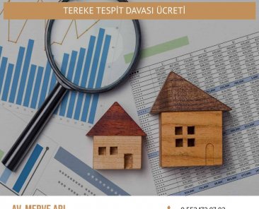 Tereke Tespit Davası Ücreti