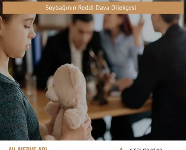 Soybağının Reddi Dava Dilekçesi
