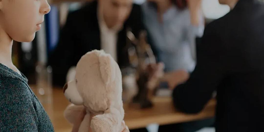 Soybağının Reddi Dava Dilekçesi