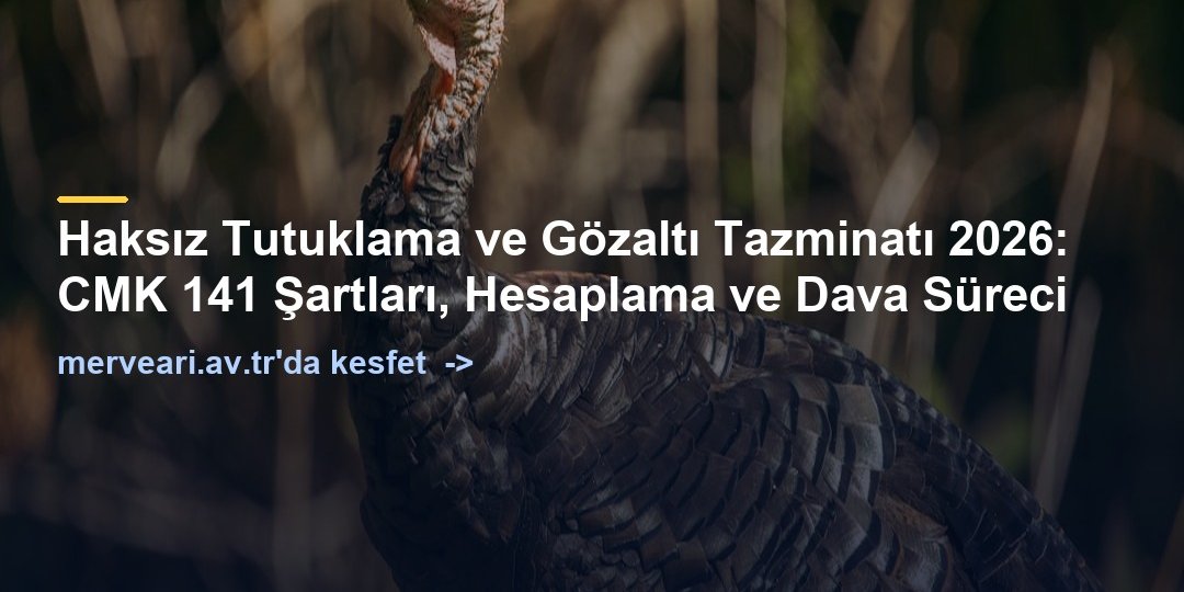 Haksız Tutuklama ve Gözaltı Tazminatı 2026: CMK 141 Şartları, Hesaplama ve Dava Süreci — merveari.av.tr