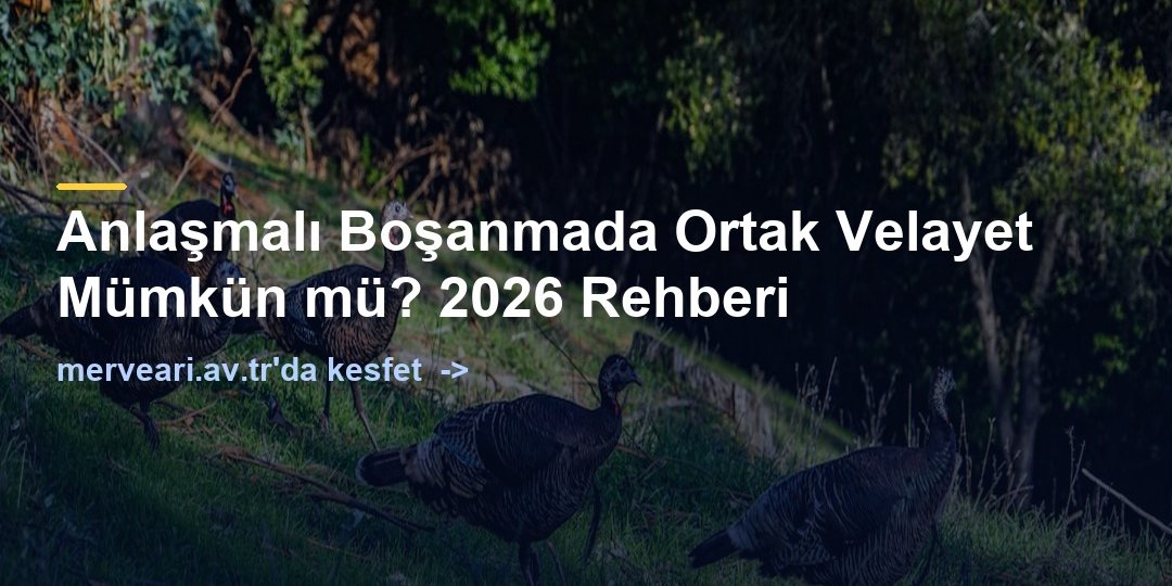 Anlaşmalı Boşanmada Ortak Velayet Mümkün mü? 2026 Rehberi — merveari.av.tr