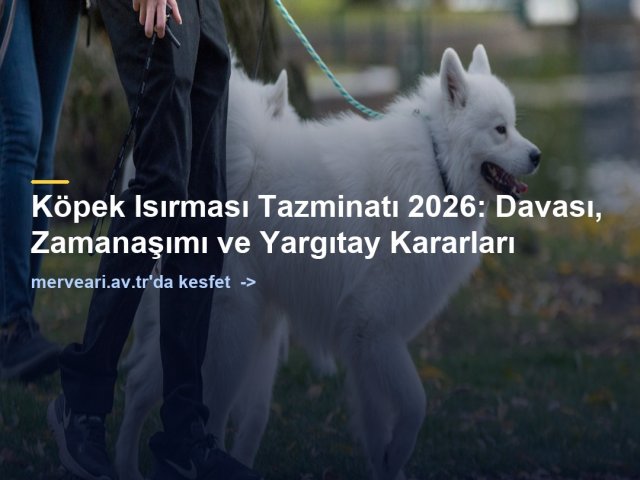 Köpek Isırması Tazminatı 2026: Davası, Zamanaşımı ve Yargıtay Kararları — merveari.av.tr