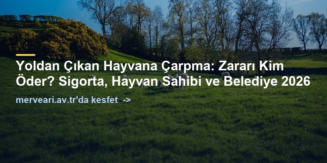 Yoldan Çıkan Hayvana Çarpma: Zararı Kim Öder? Sigorta, Hayvan Sahibi ve Belediye 2026 — merveari.av.tr